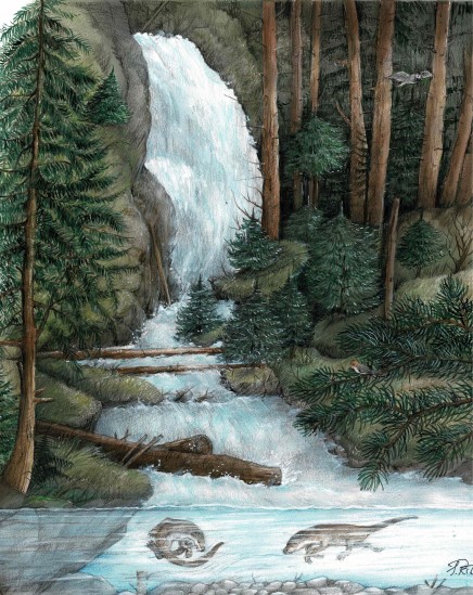 Ausstellung "Wasser" auf der BuchWien25
