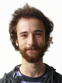 Martin Krammer